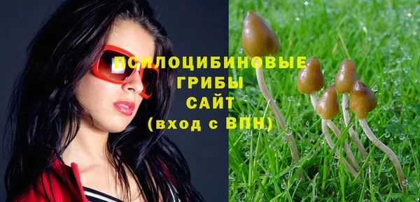 бутират Алексин