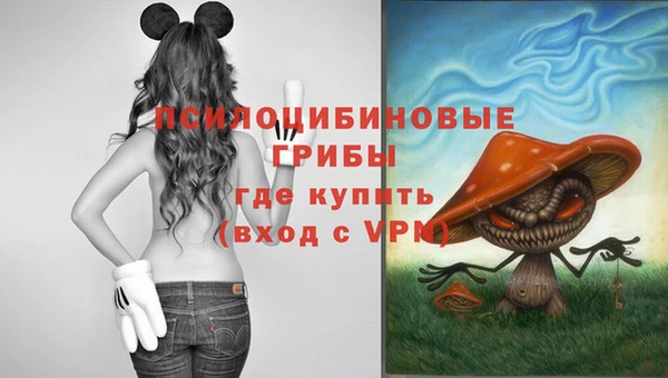 бутират Алзамай