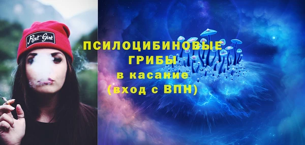 бутират Алексин