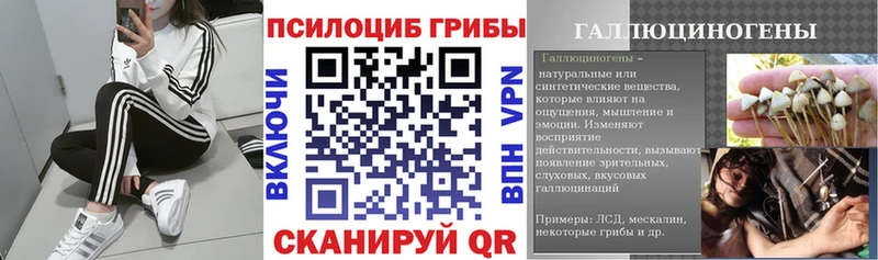 цена   Безенчук  Галлюциногенные грибы мухоморы 